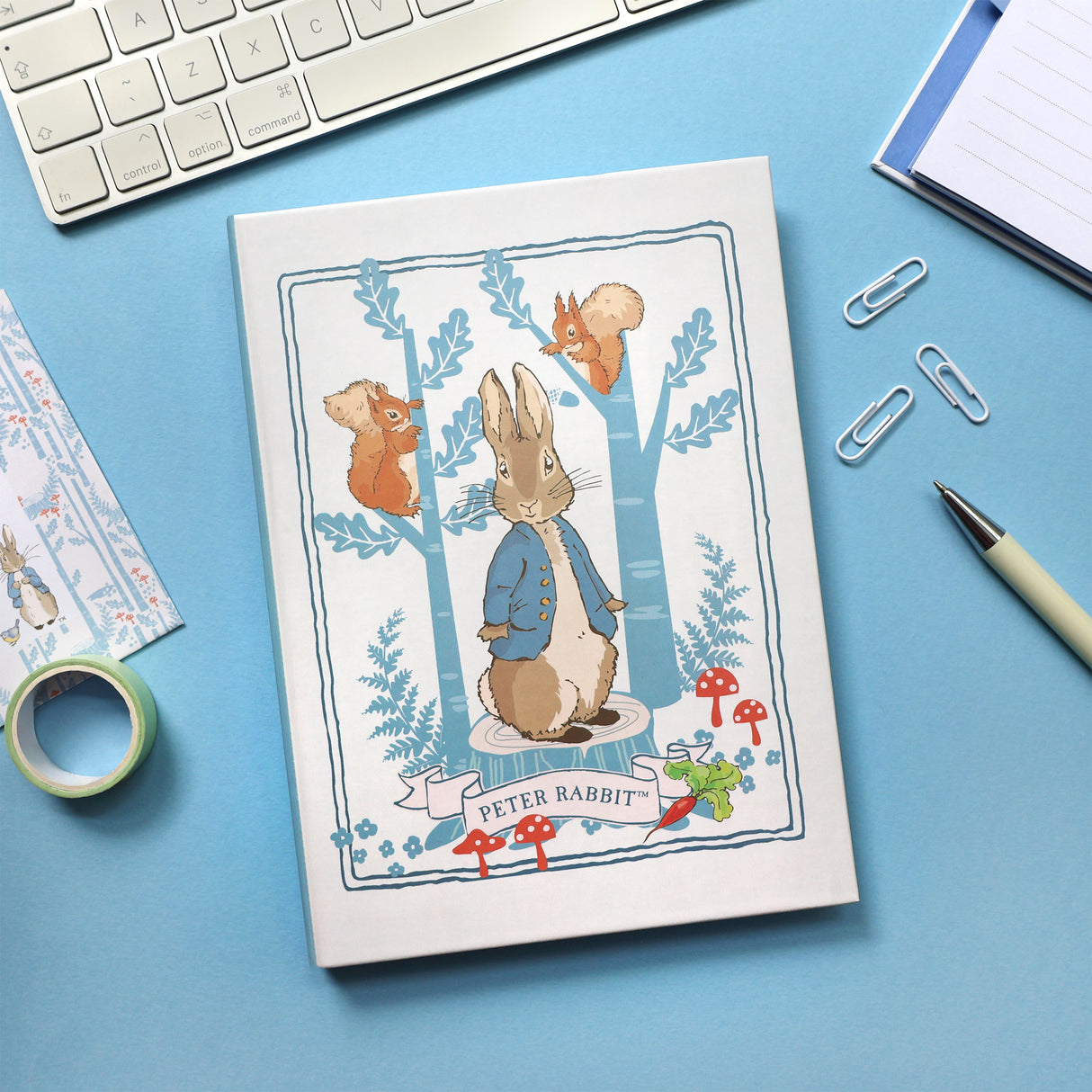 Peter Rabbit Planner and Notepad with Sticky Notes – A5 Forest Picnic Design