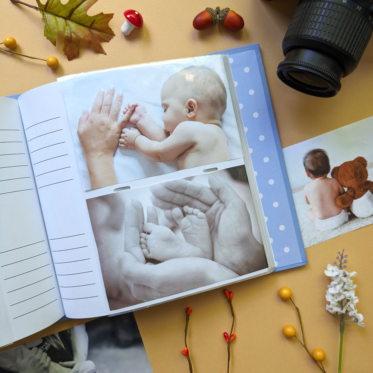 Peter Rabbit Photo Album - Forest Picnic