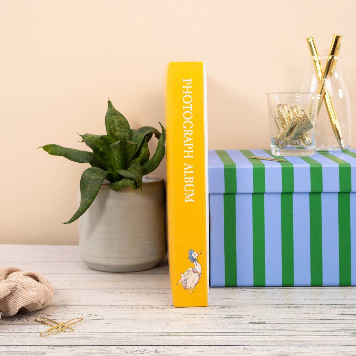 Jemima Puddle-Duck Photo Album - Forest Picnic