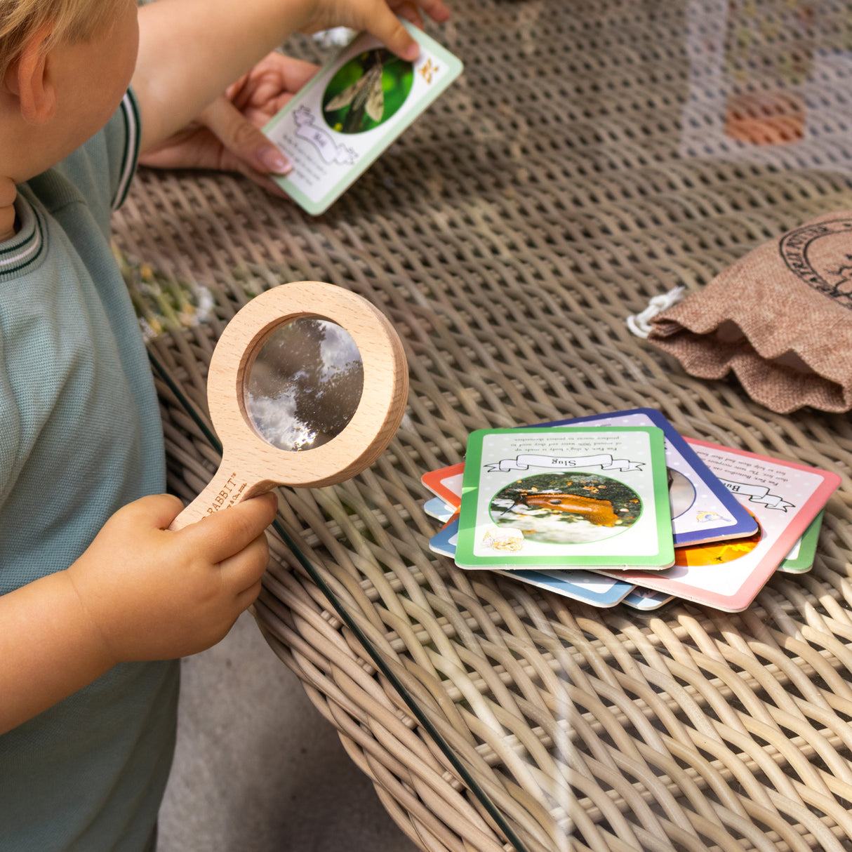 Peter Rabbit Bug Spotter Activity Set