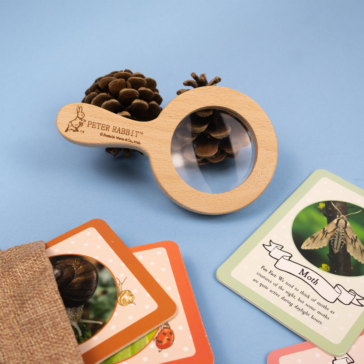 Peter Rabbit Bug Spotter Activity Set