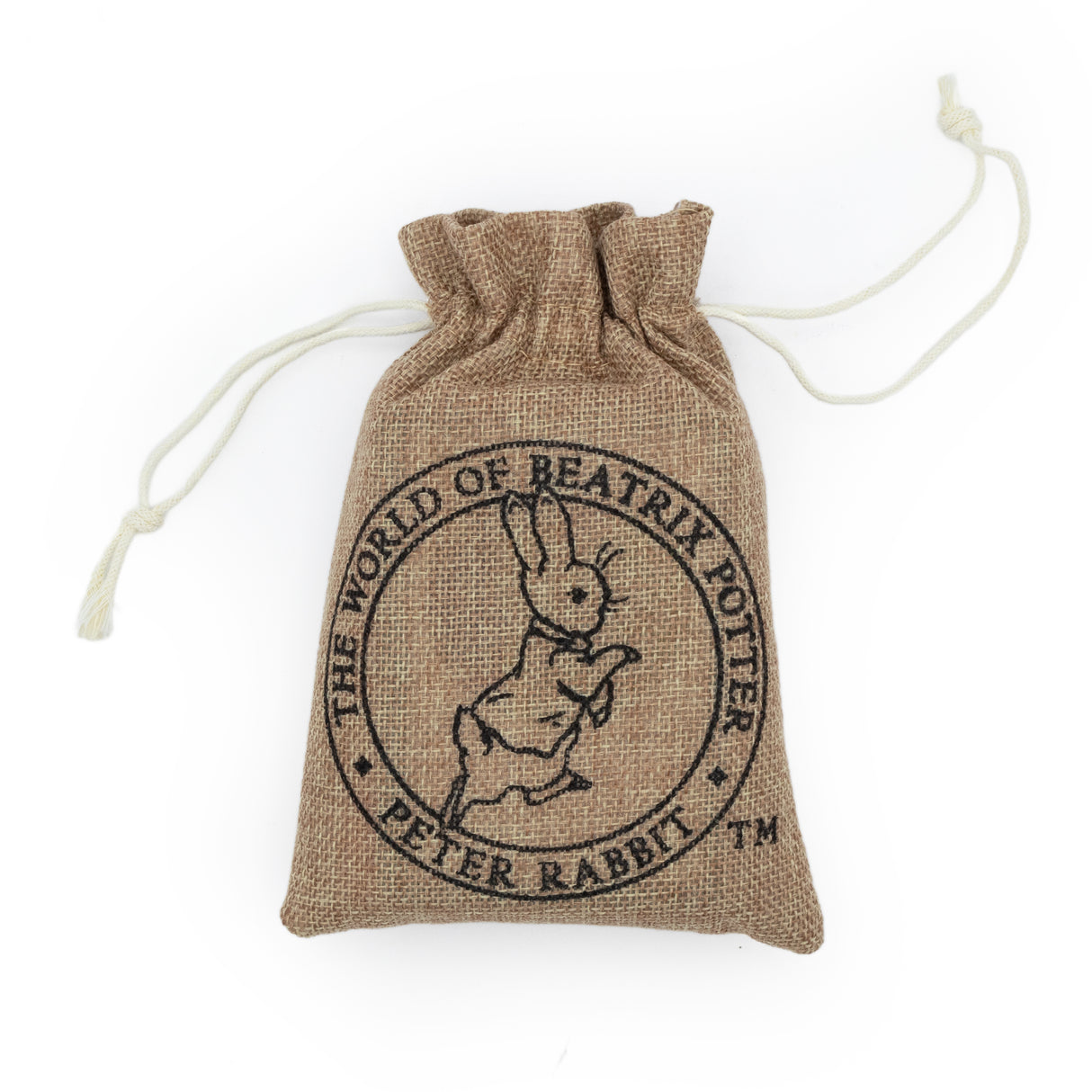 Peter Rabbit Bug Spotter Activity Set