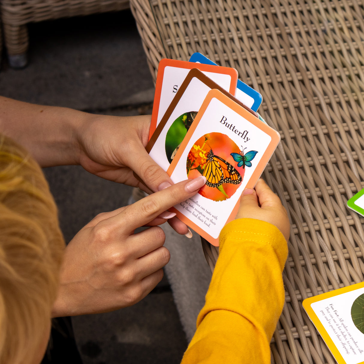 The Gruffalo Bug Spotter Activity Set