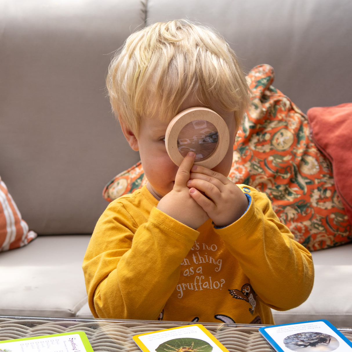 The Gruffalo Bug Spotter Activity Set