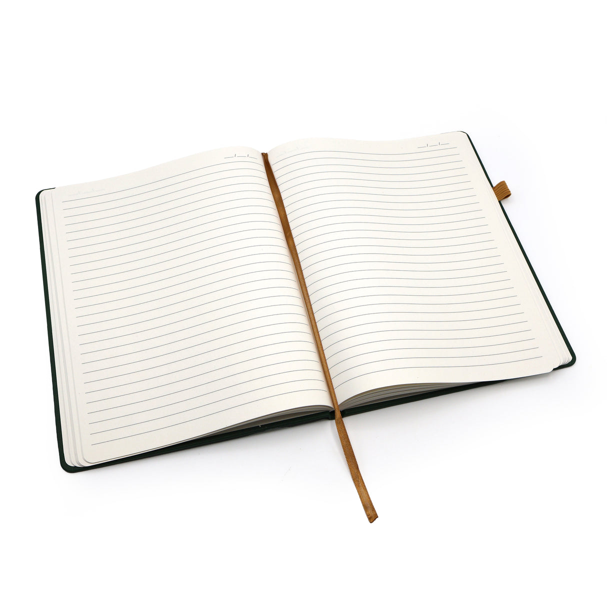 Journal Notebook - Big Ideas B5 Design