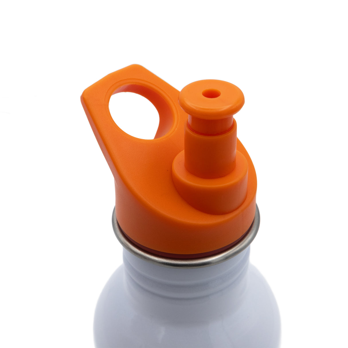 The Gruffalo Kids Water Bottle – 500ml Stainless Steel