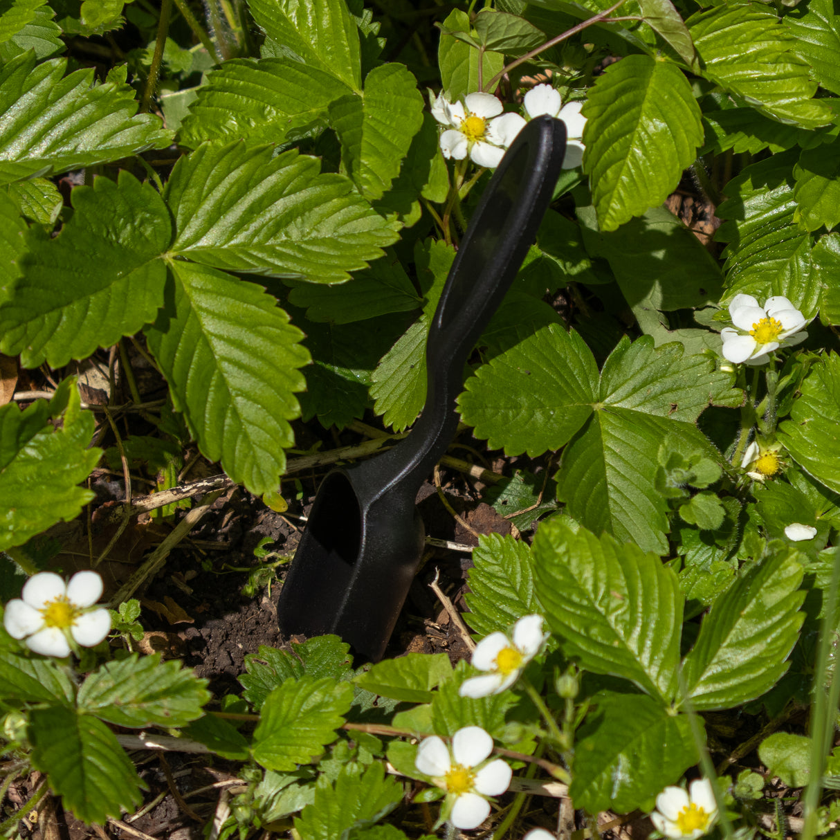 Gentleman’s Emporium Thyme To Garden Gift Set