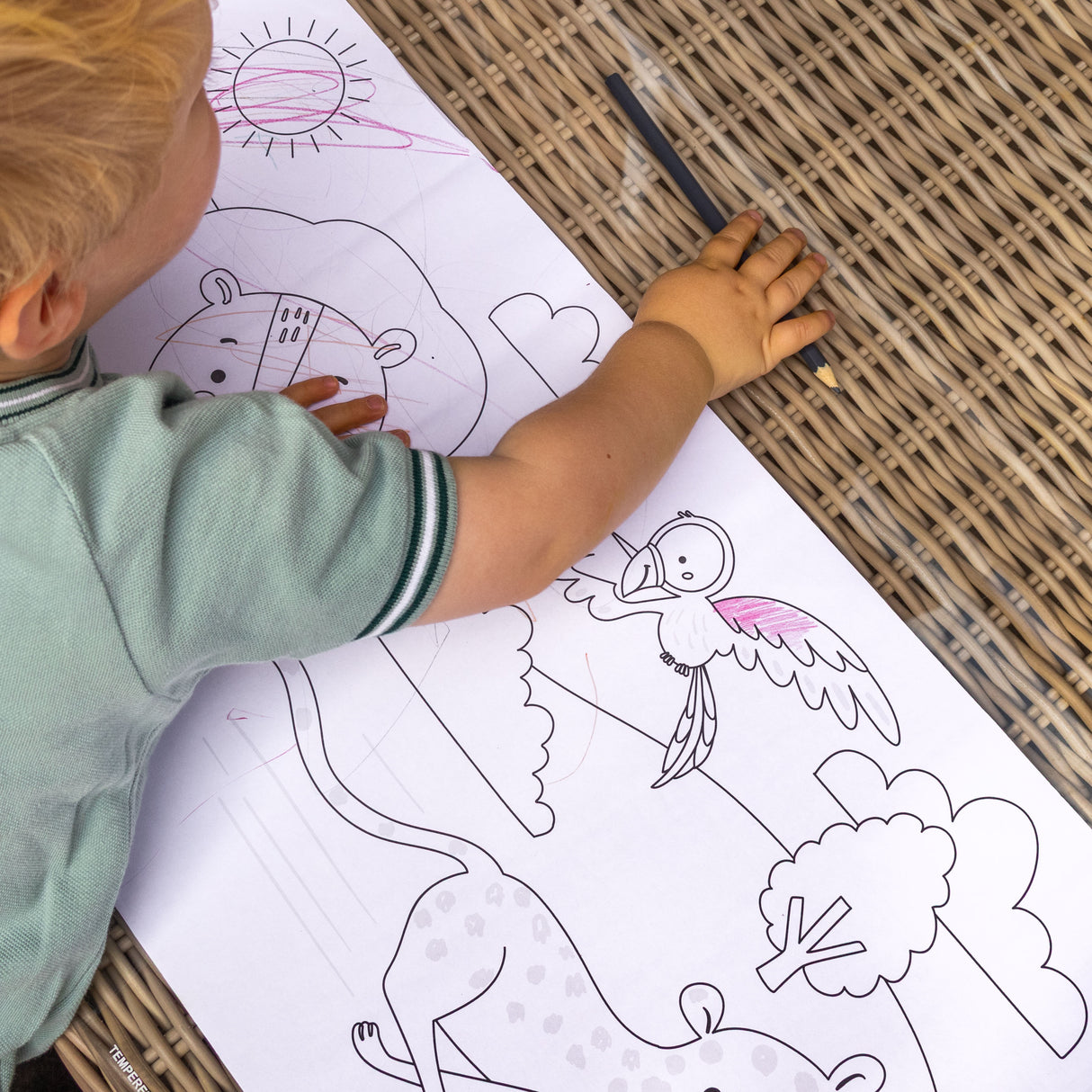 Colour Your Own 3m Jungle Animals Poster – Monkeys, Tigers, Parrots & Elephants