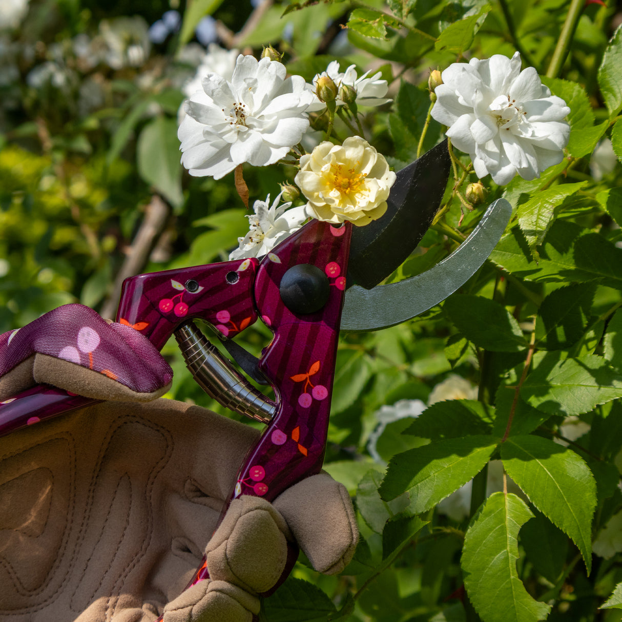 Willow and Belle Secateurs With Pouch – Cherries Design