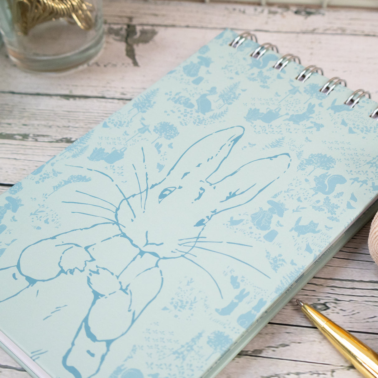 Peter Rabbit Wired Notepad