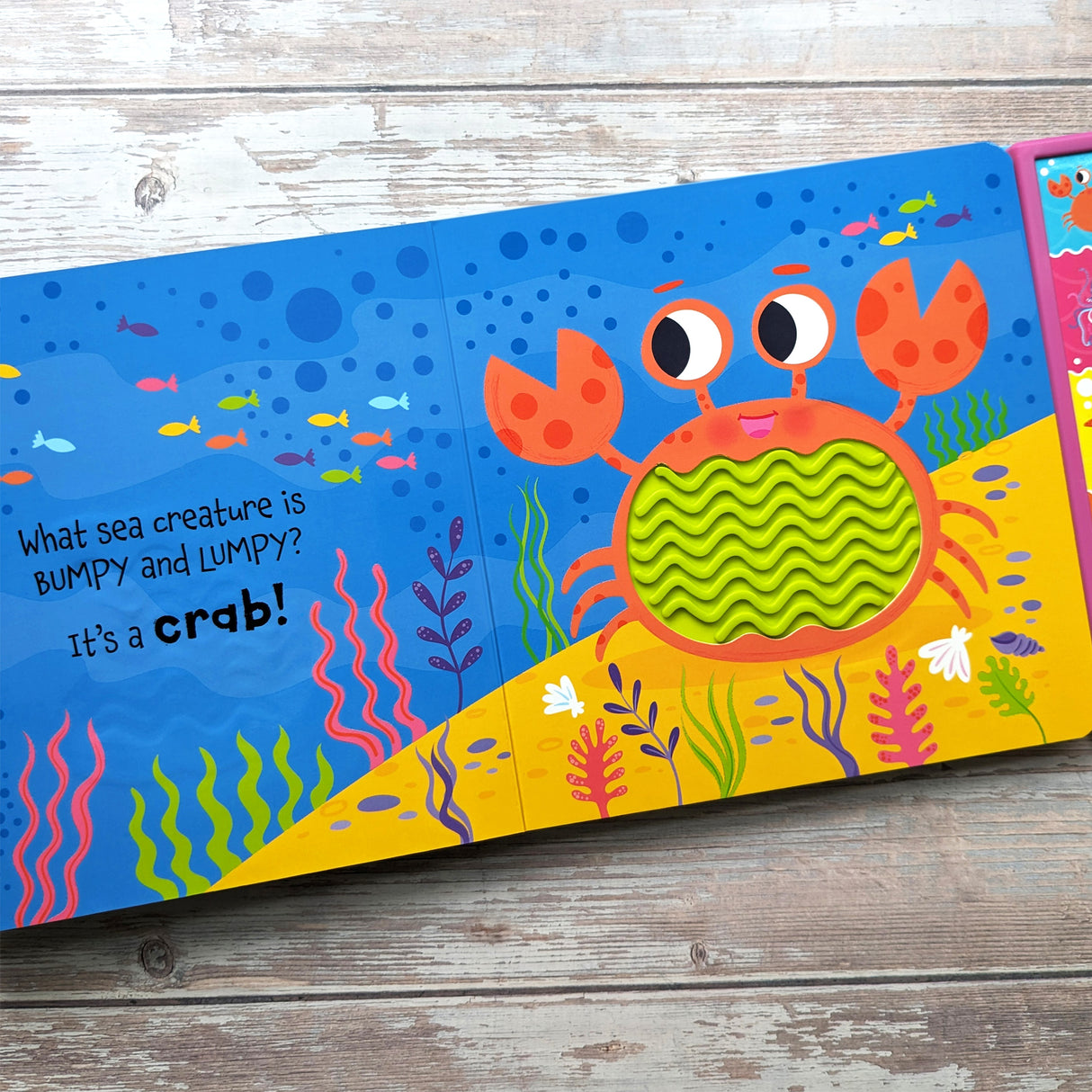 Touch and Feel In The Ocean Silicone Sound Book - Tactile Fun For Children Aged 3 Years Upward – 5 Sound Buttons To Press And Play