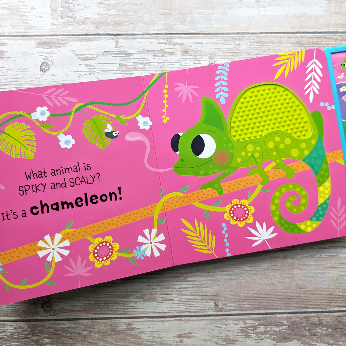 Touch and Feel In The Jungle Silicone Sound Book - Tactile Fun For Children Aged 3 Years Upward – 5 Sound Buttons To Press And Play