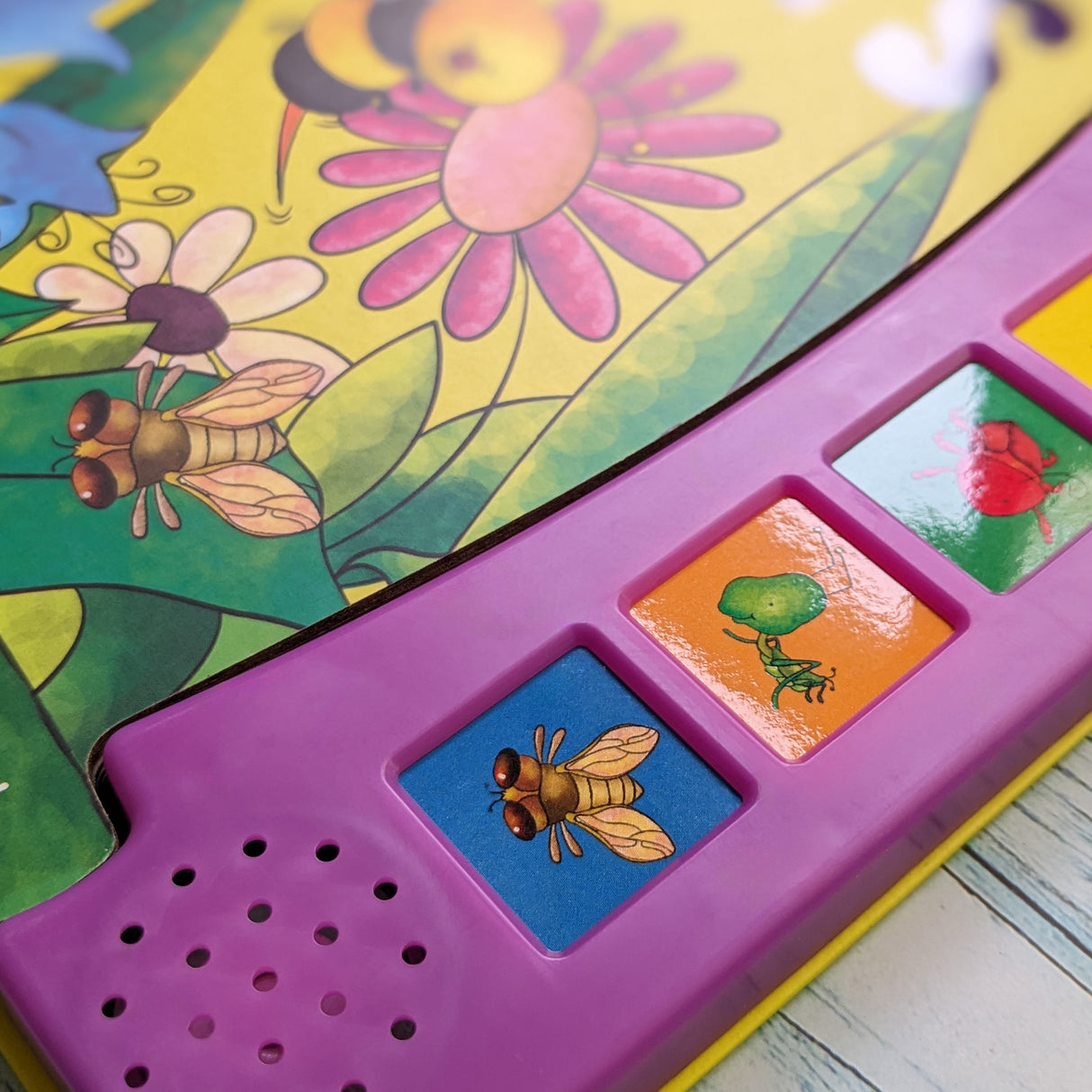Insects – Children’s 6 Button Sound Book