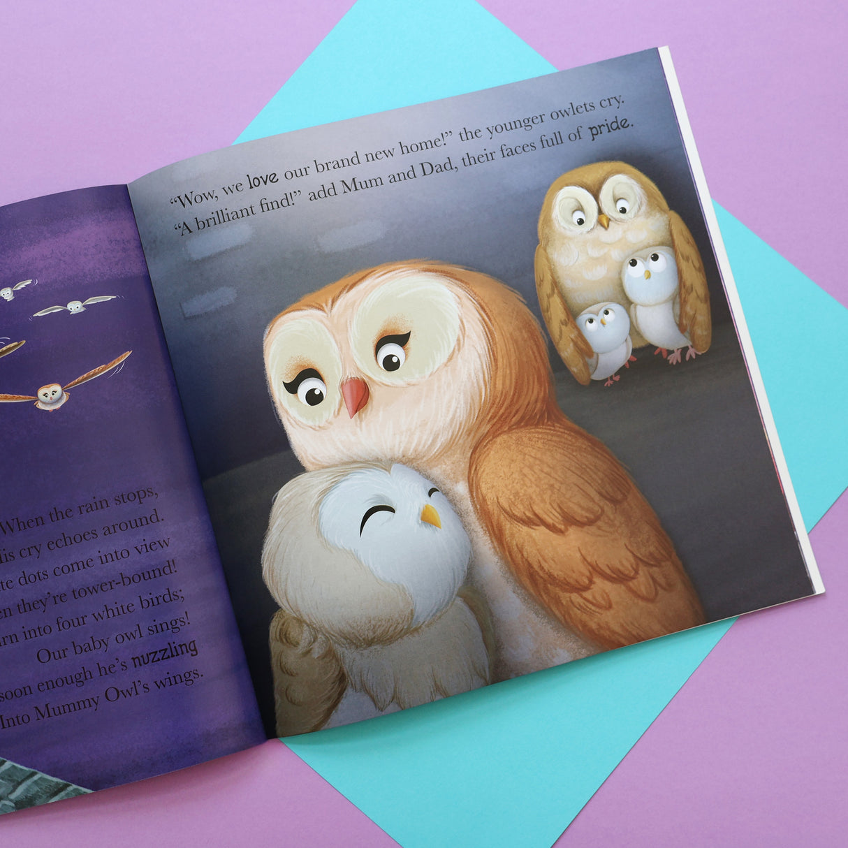 When Owl Feels Scared - Me And My Feelings Children's Paperback Book