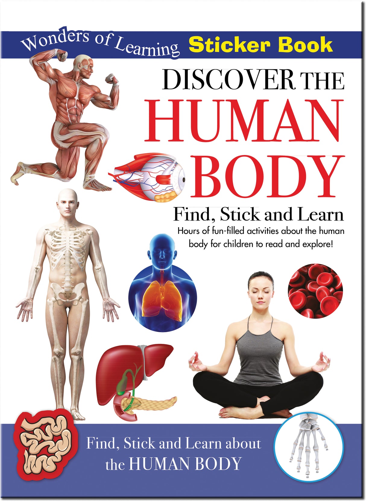Discover The Human Body Sticker Book - Find, Stick and Learn