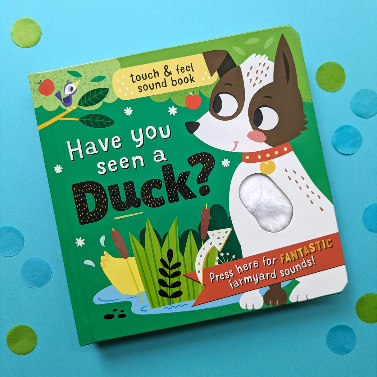 Have You Seen A Duck? Children's Touch & Feel Sound Book