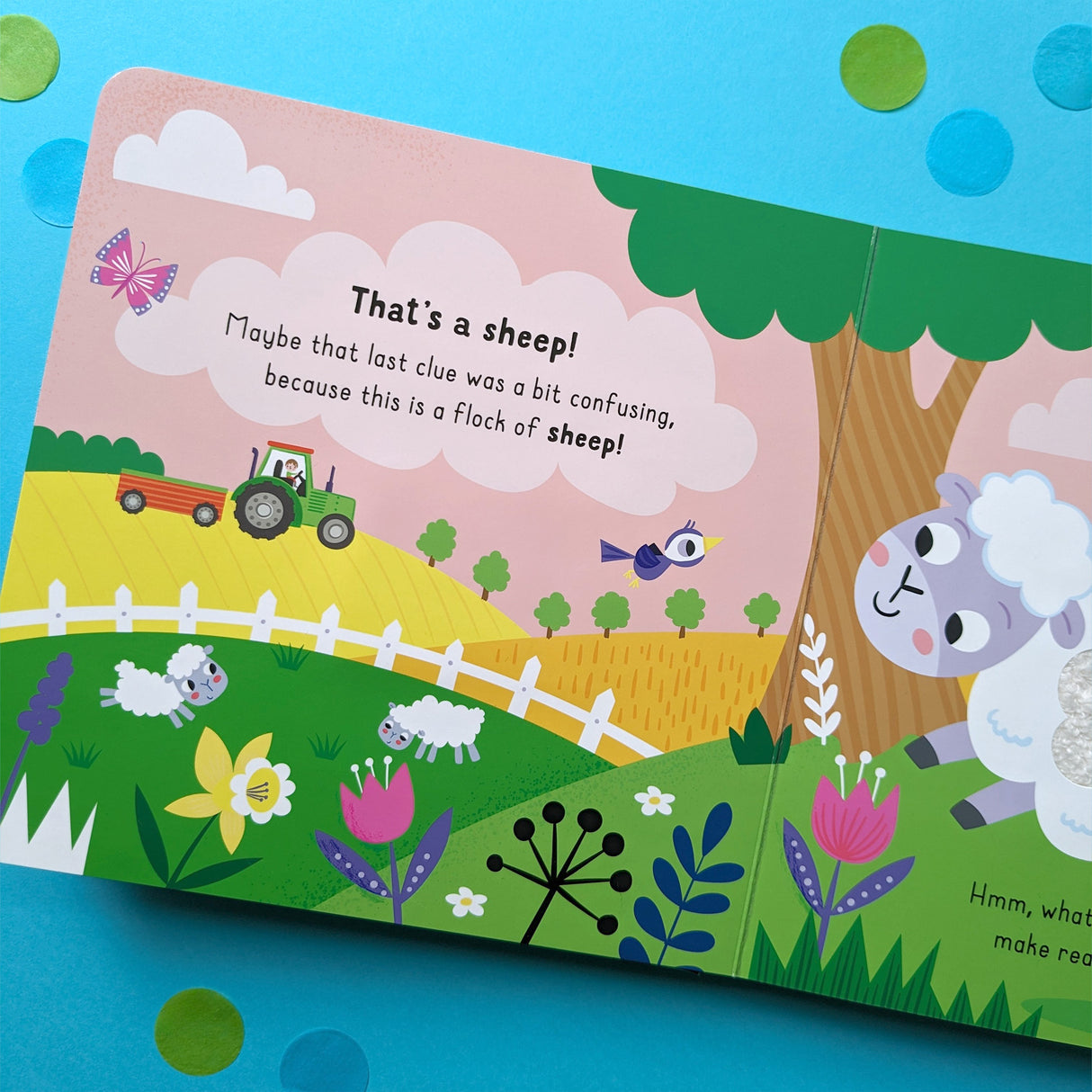 Have You Seen A Duck? Children's Touch & Feel Sound Book