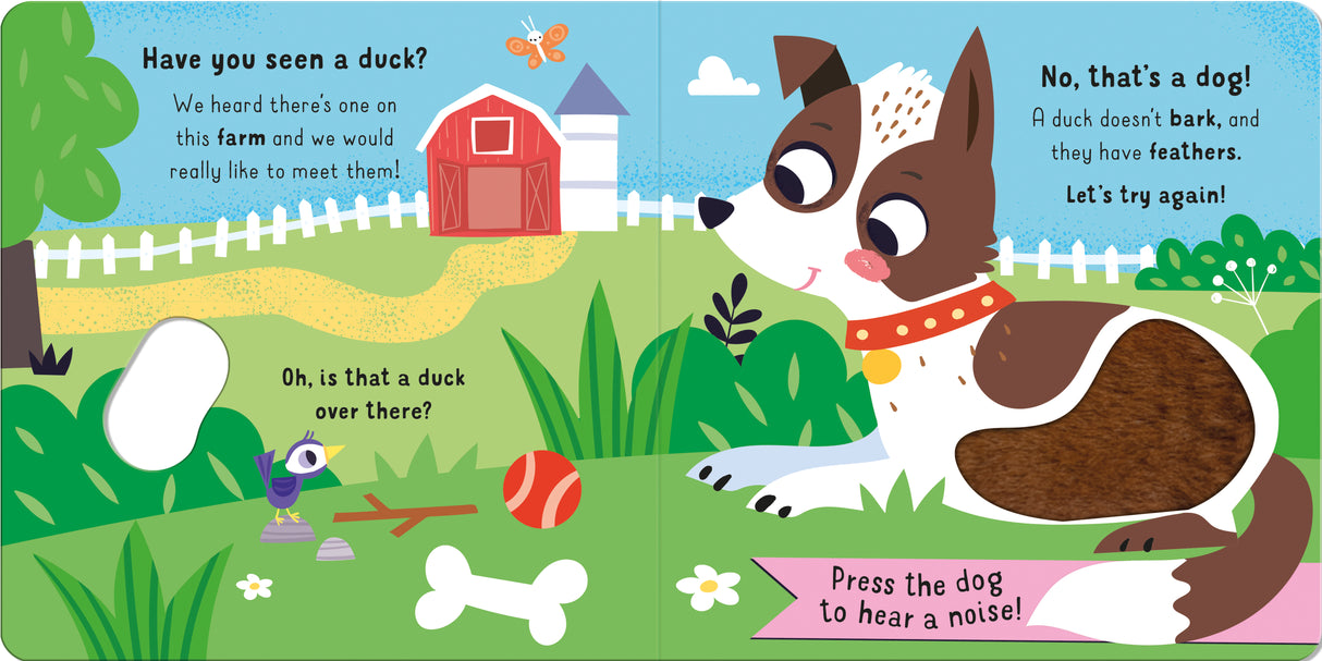 Have You Seen A Duck? Children's Touch & Feel Sound Book