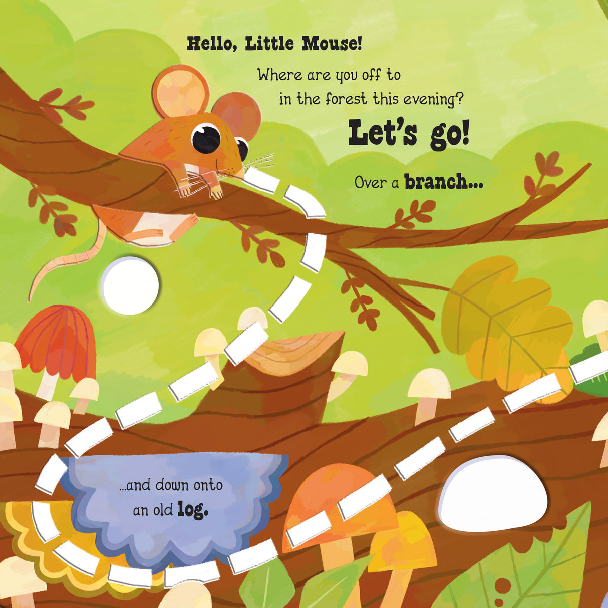 Explore the Woods with Little Mouse