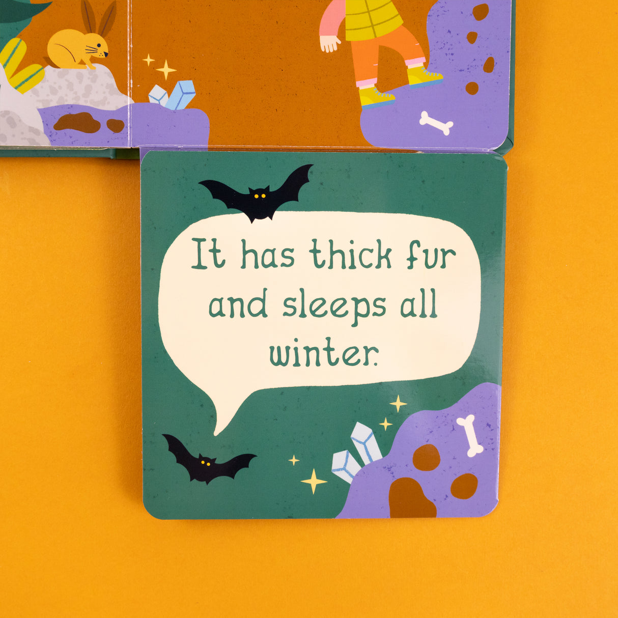 Who’s In The Wild – Fold-Out Flaps Board Book