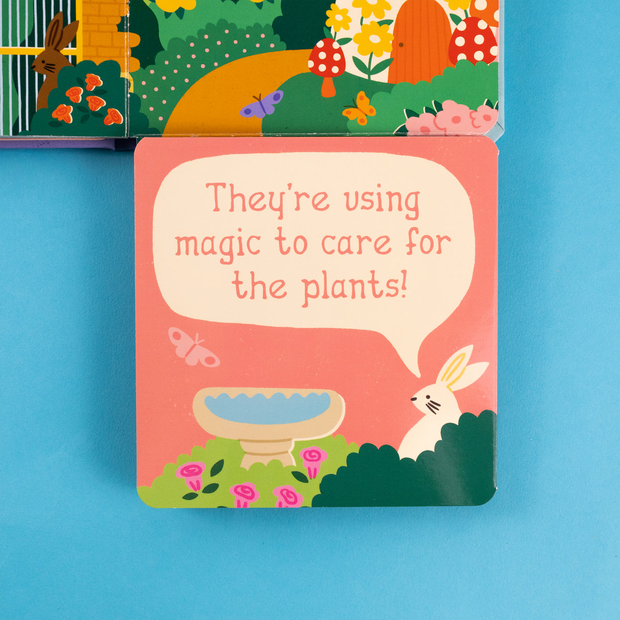 Who’s Here In Fairy Land – Fold-Out Flaps Board Book