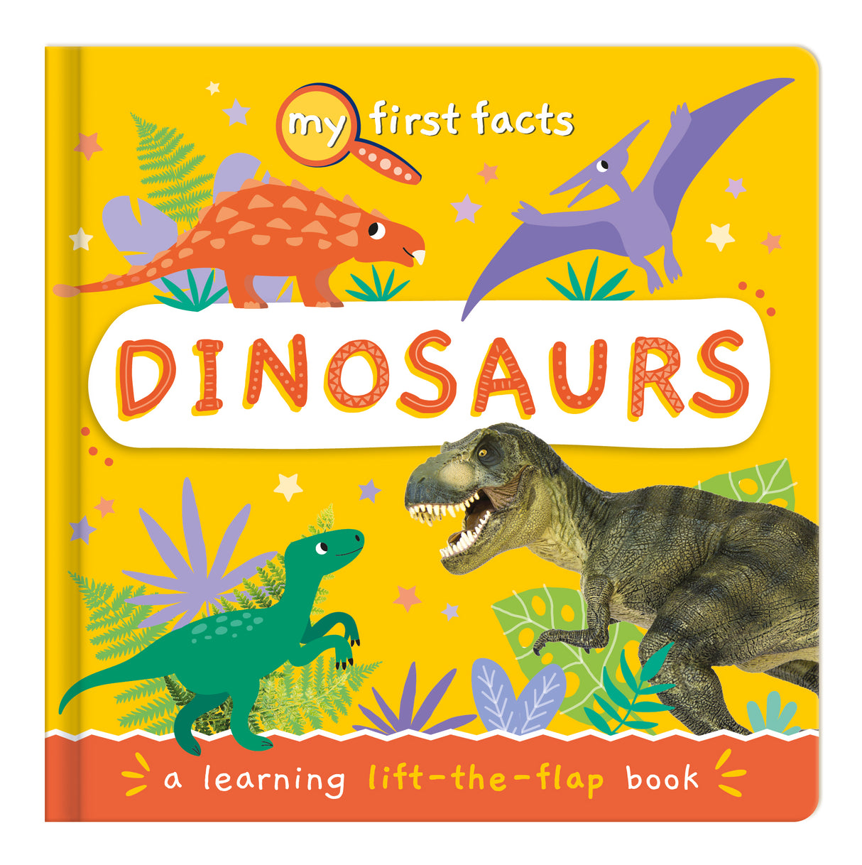 My First Facts Dinosaurs – Learning Lift-the-Flap Board Book