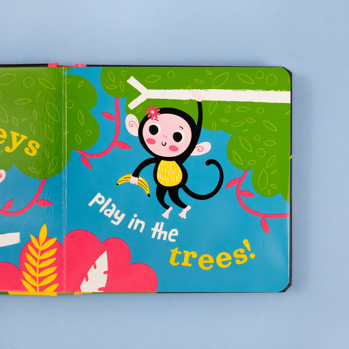 Safari - High Contrast Neon Board Book