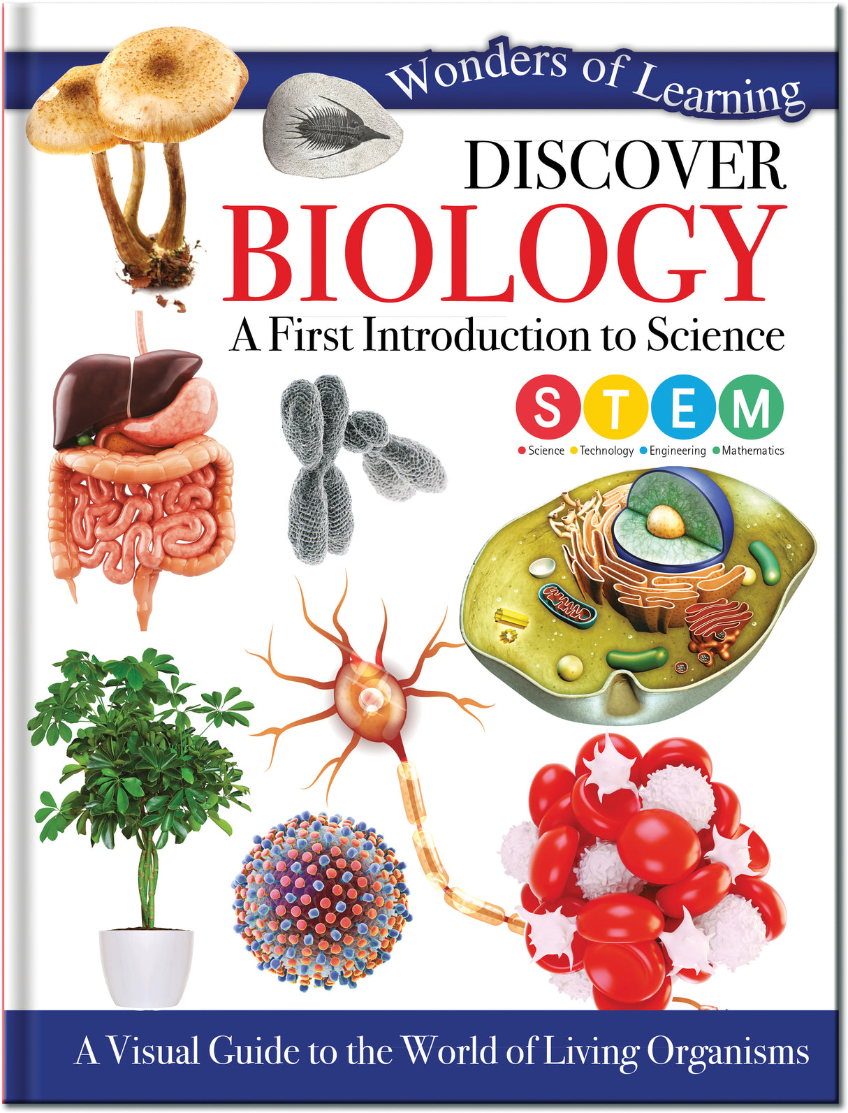 Discover Biology - Children's Reference Book - STEM Learning