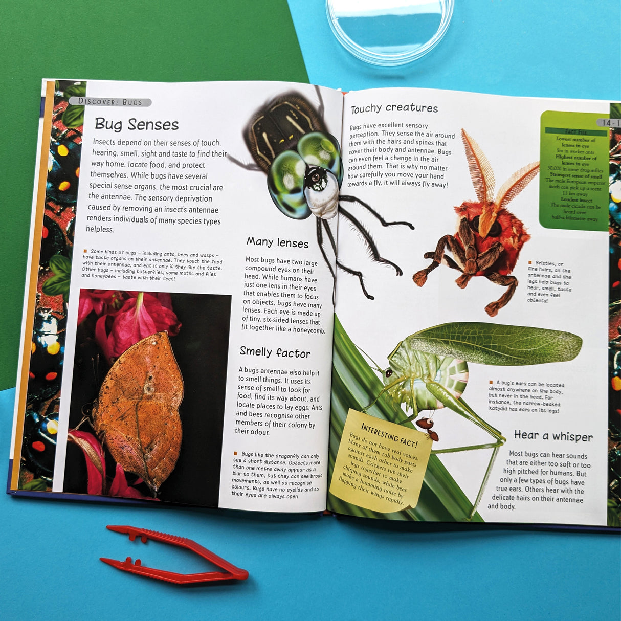 Discover Bugs Educational Box Set