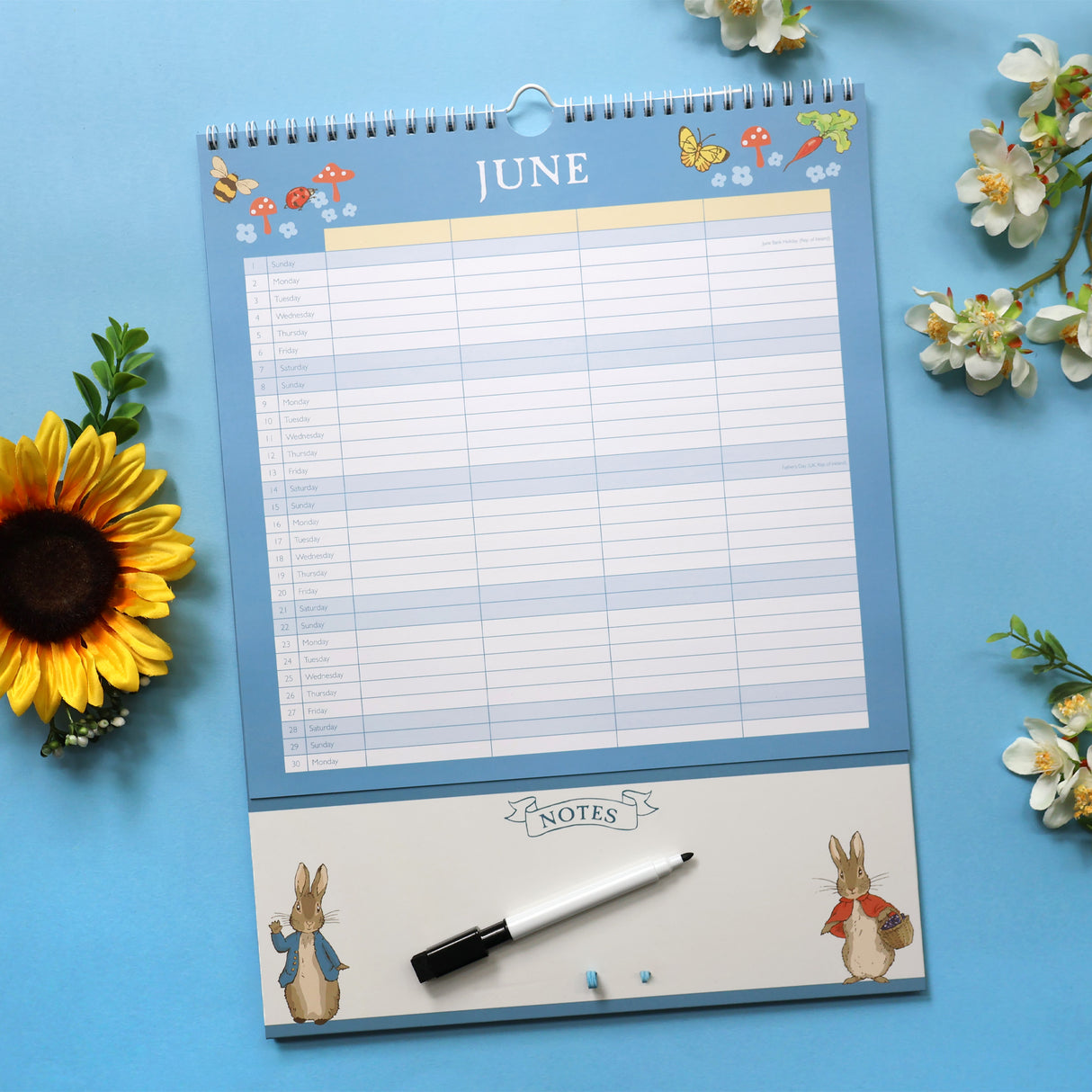 Peter Rabbit 2025 Family Organiser Wall Calendar
