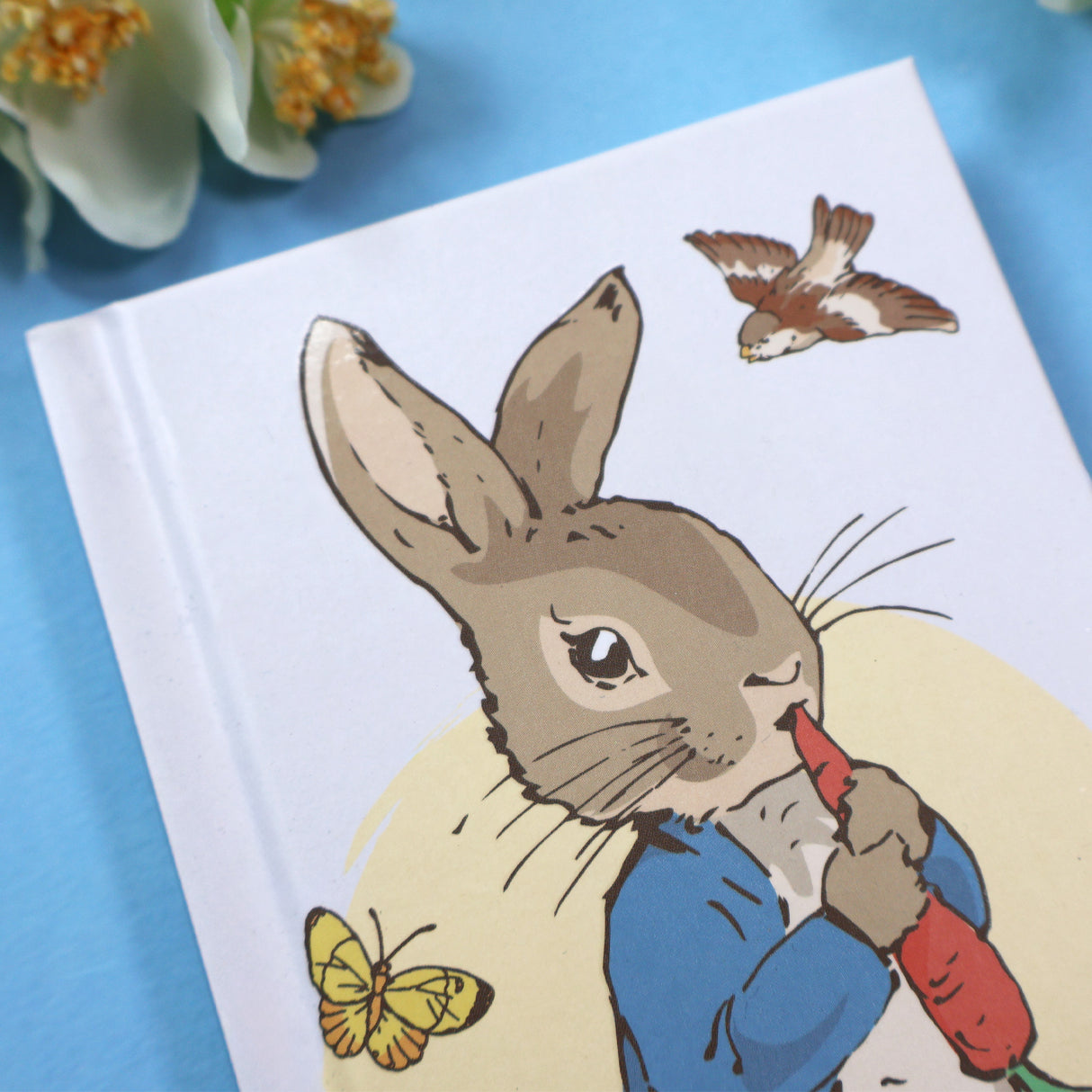 Peter Rabbit 2025 Slim Weekly View Diary