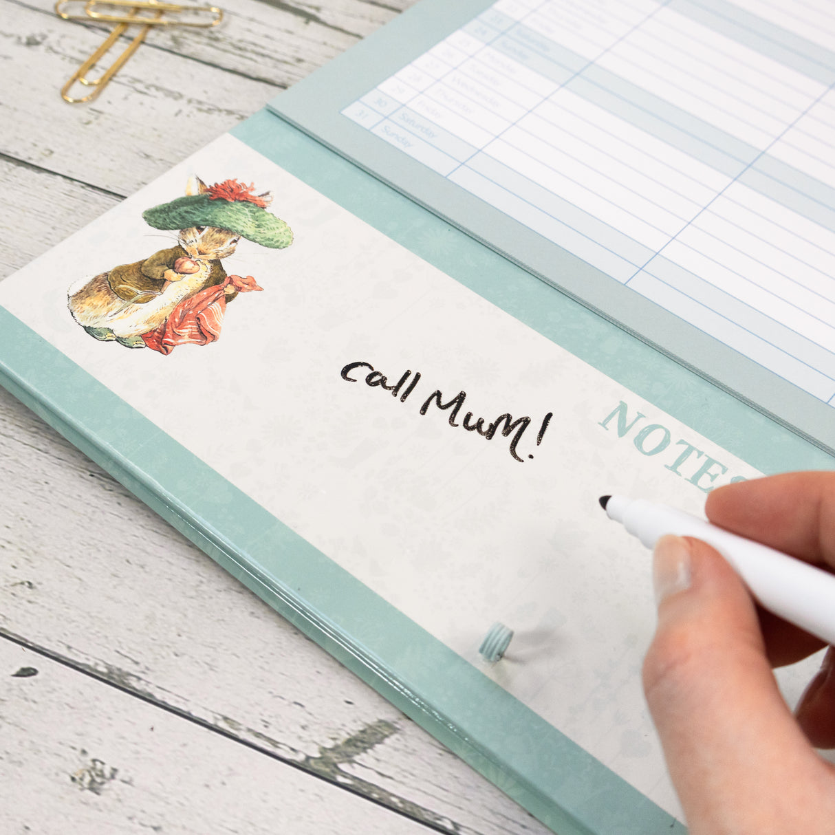 Peter Rabbit Family Organiser 2027