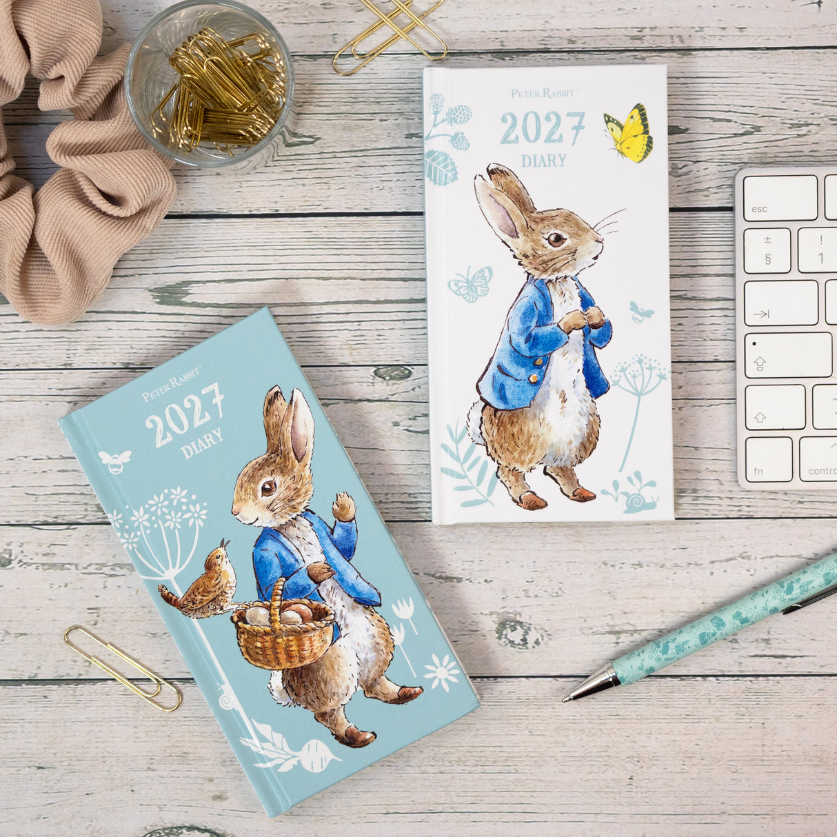 Peter Rabbit Slim Cased Diary 2027