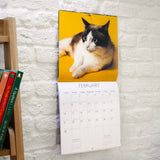 Cats Square Wall Calendar 2027