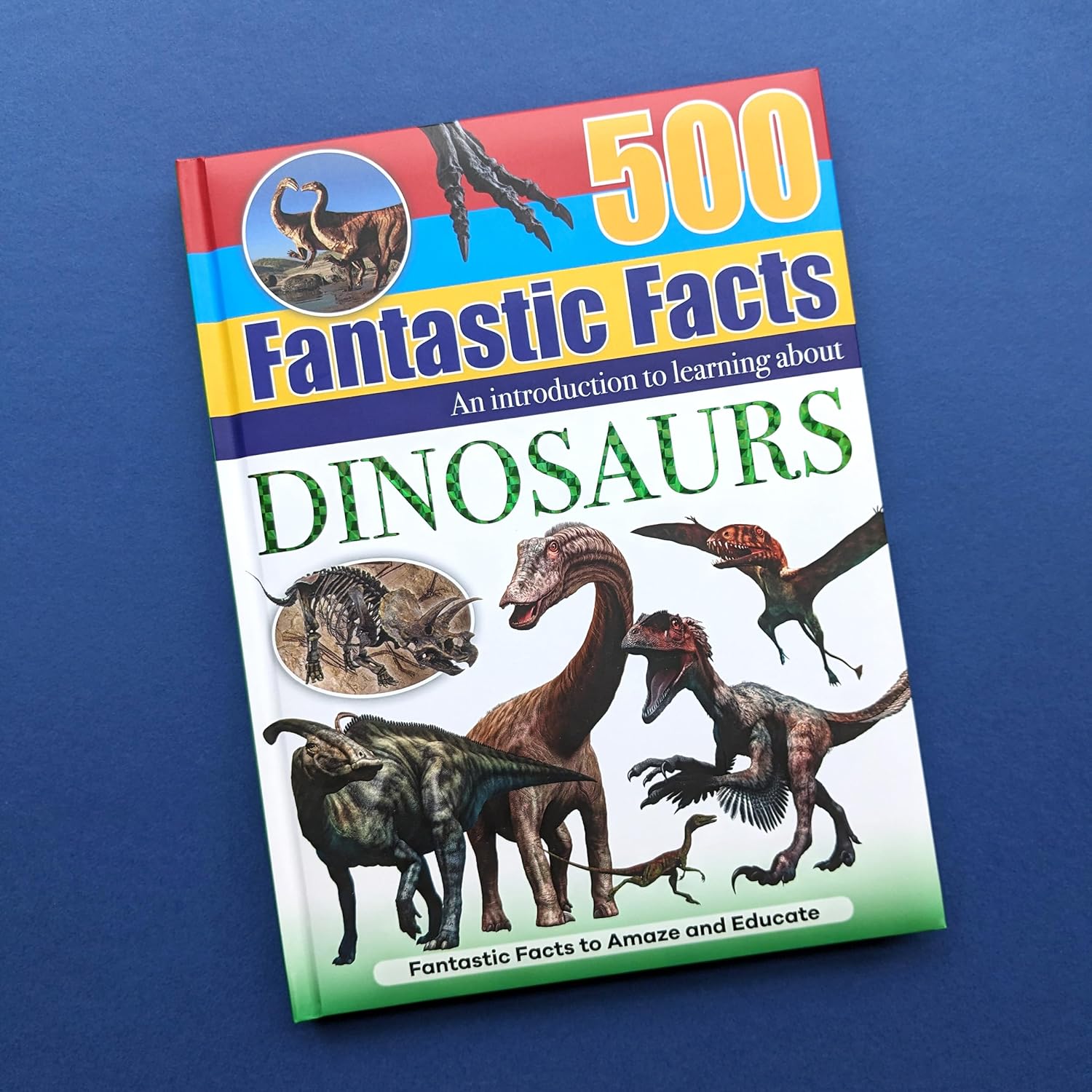ZooBooKoo Dinosaurier-Lernwürfel – Fakten über T-Rex & Freunde, Faltbarer Cube Für Kinder Ab 6