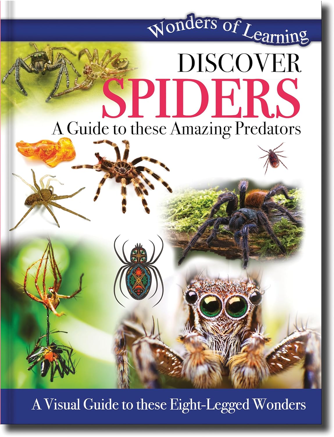 Discover Spiders - Children's Reference Book – Robert Frederick