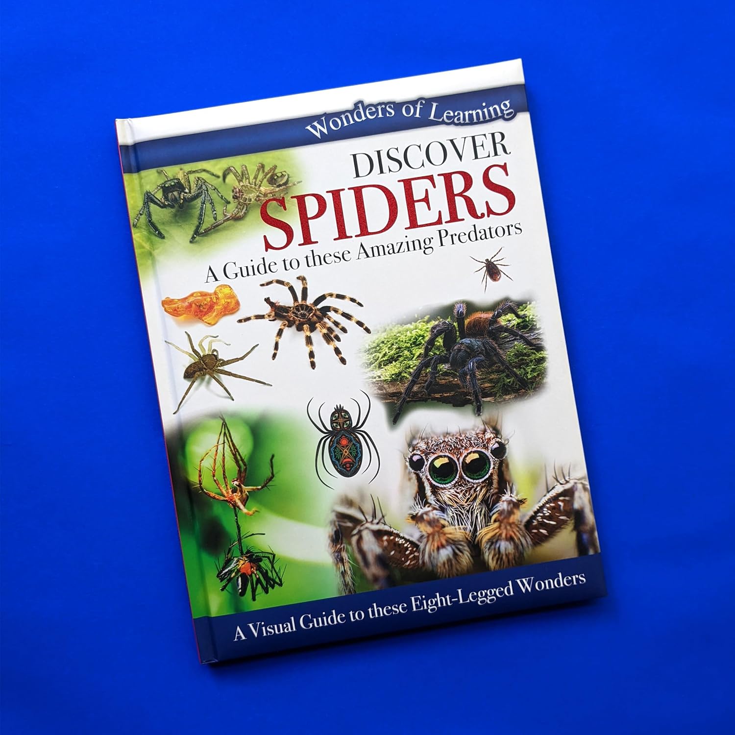Discover Spiders - Children's Reference Book – Robert Frederick