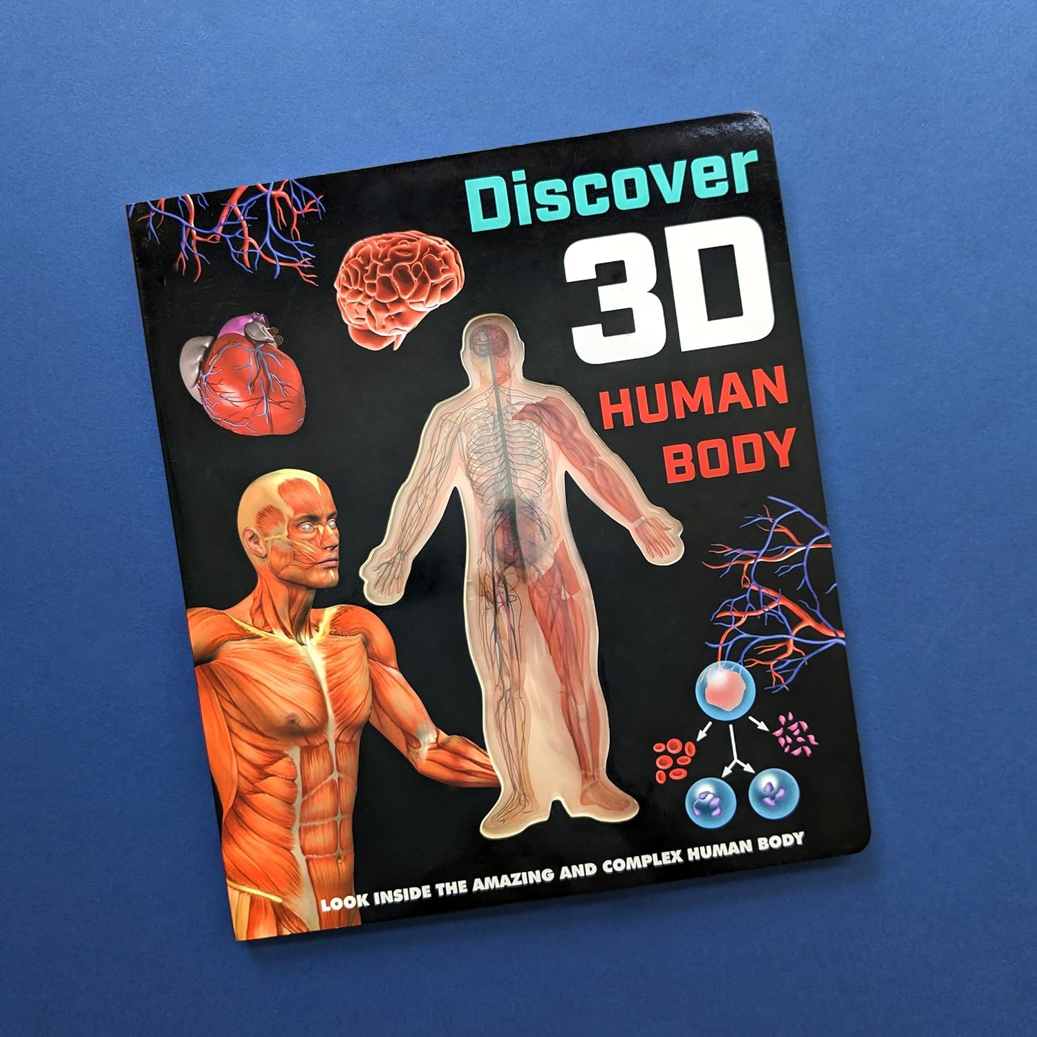 Discover the Human Body in 3D – Children's Anatomy Book – Robert