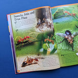 500 Fantastic Facts - Animals - Children's Reference Book