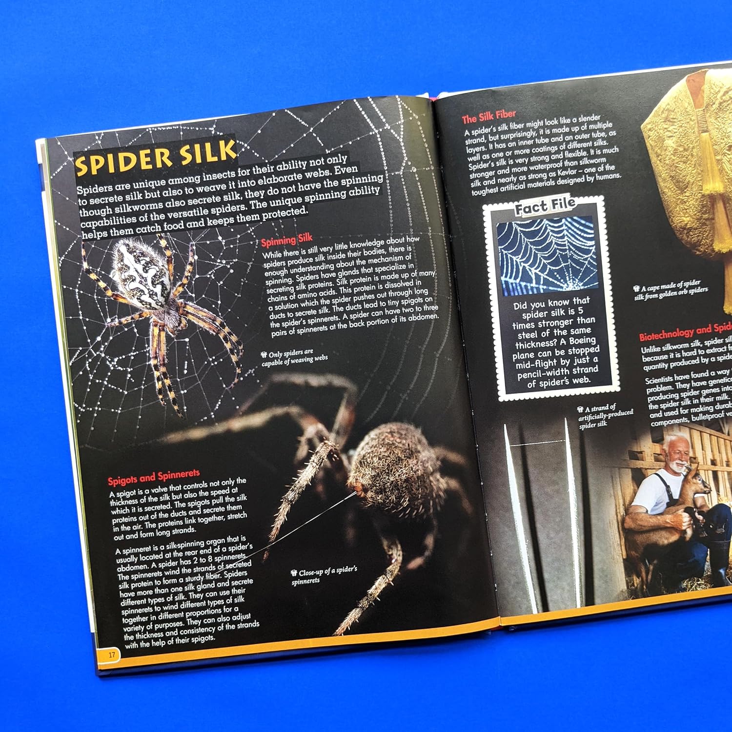 語学・辞書・学習参考書 Behaviour and Ecology of Spiders Spiders by Lynne Kelly | Hachette UK