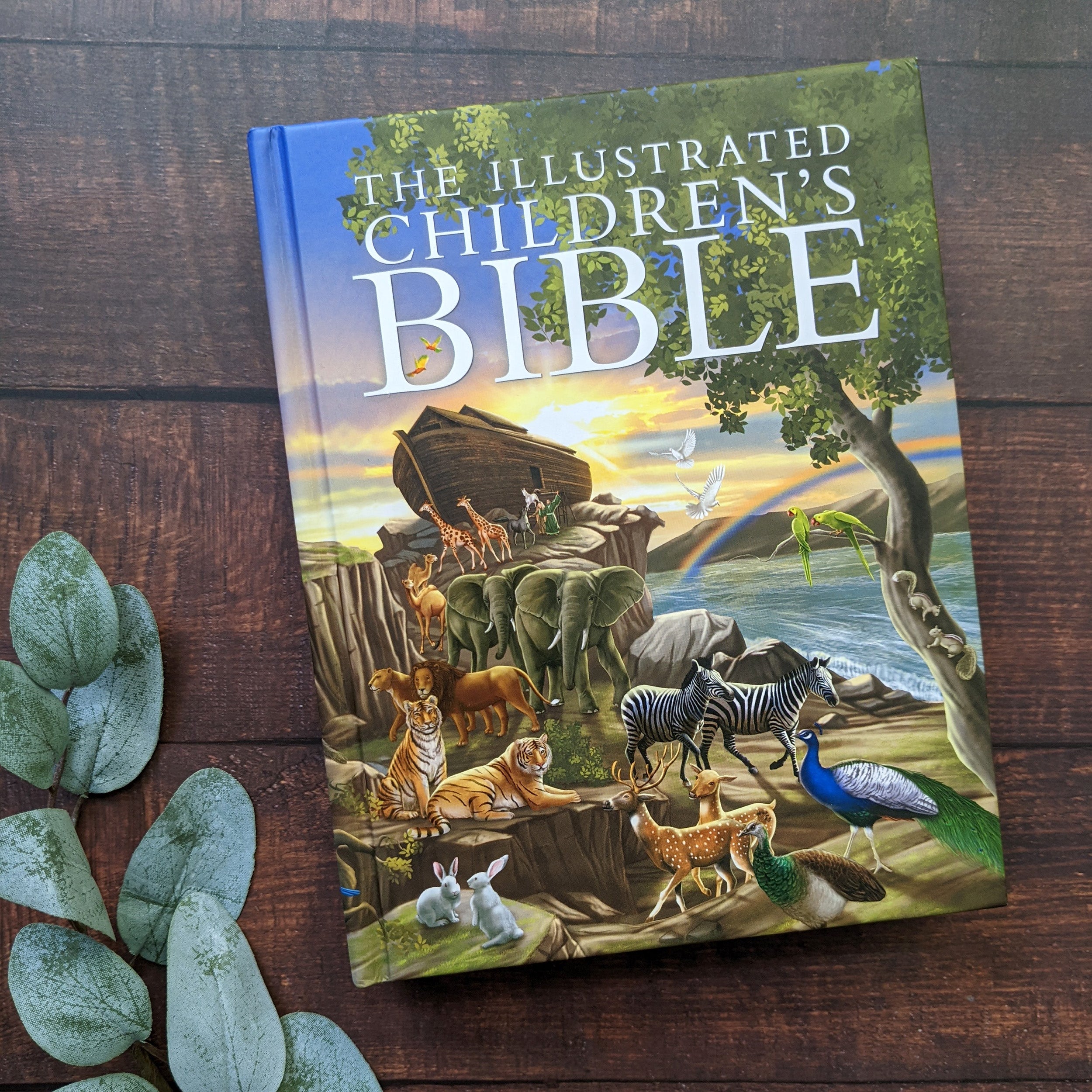 The Lion Children's Bible (Hardback) by Pat Alexander