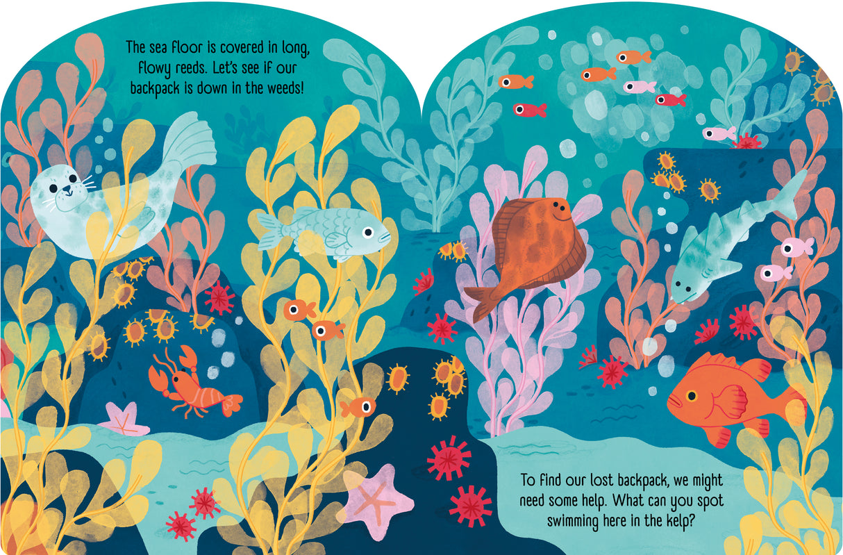 Ocean Explorers – Fold-Out Concertina Book