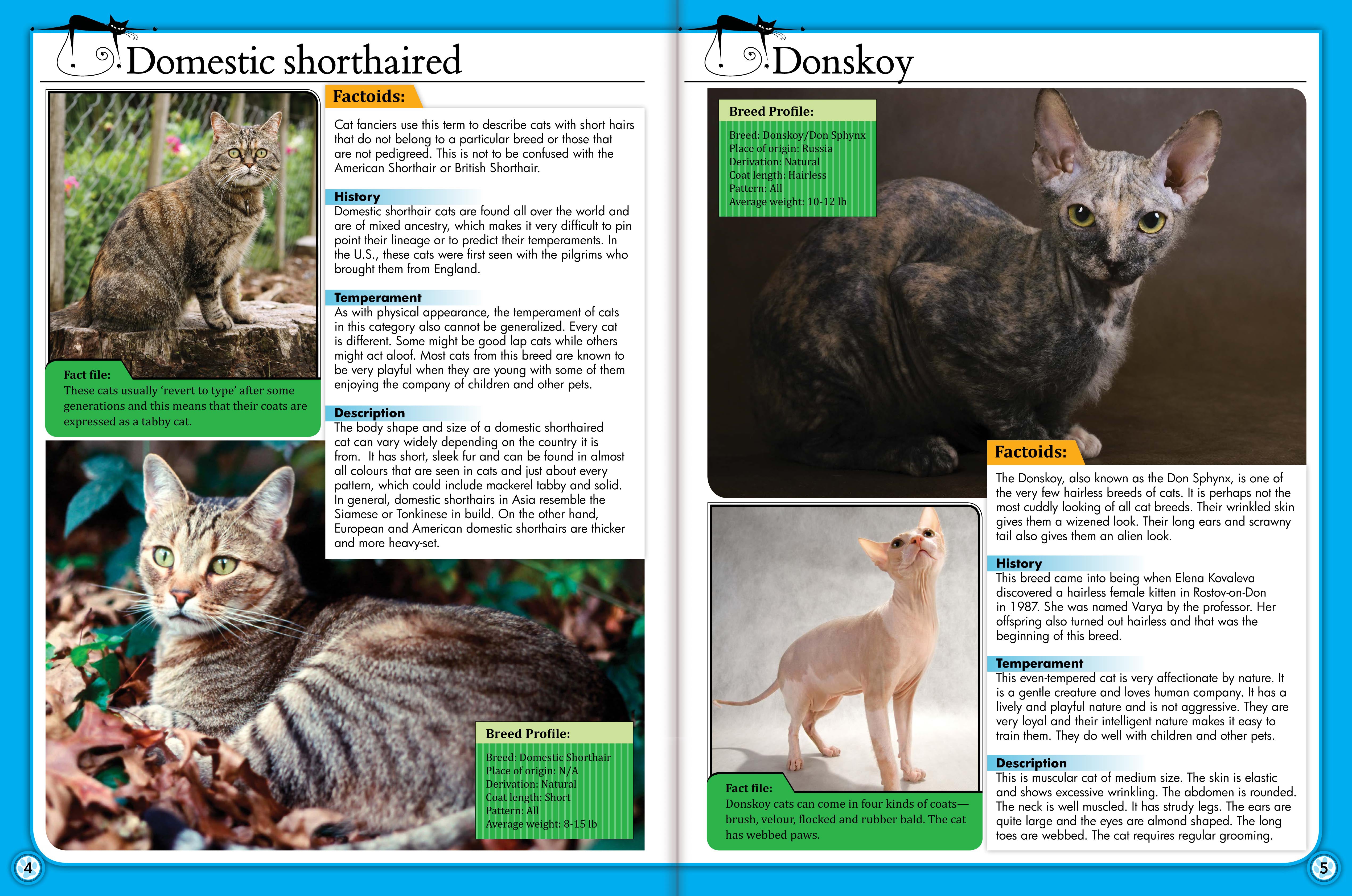 Encyclopedia of Cats: A Comprehensive Guide to Cat Breeds