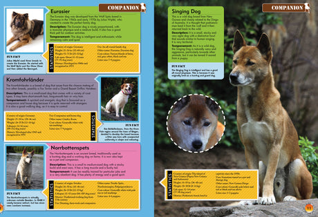Encyclopedia of Dogs: A Comprehensive Guide to Dog Breeds - Children's Reference Book