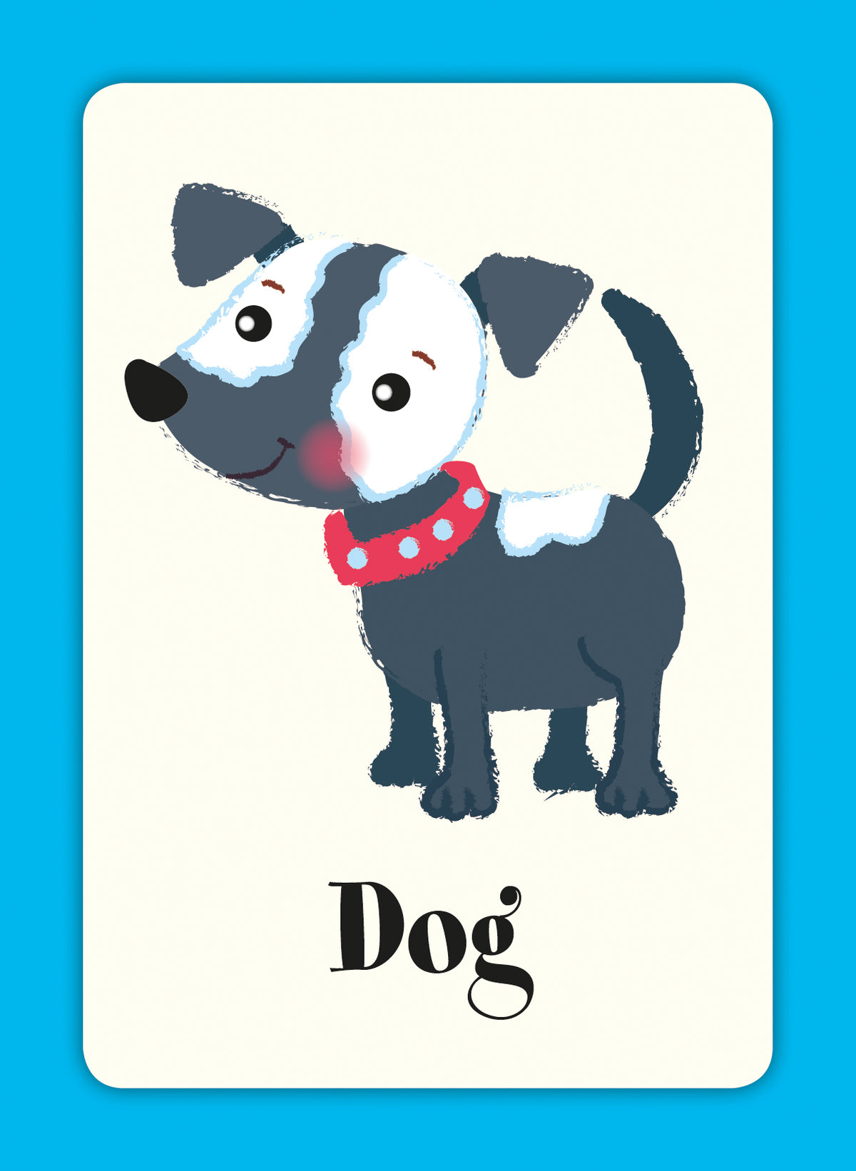 Rob Flashcard Children’s First Learning Flash Cards – Robert Frederick