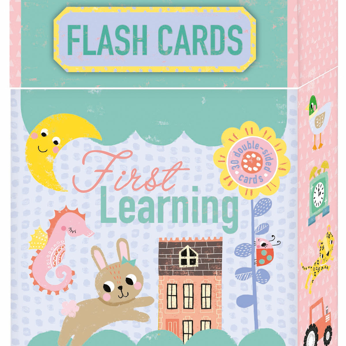 Rob Flashcard Children’s First Learning Playtime Pals Flash Cards – Robert Frederick