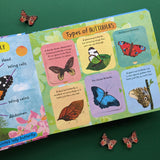The Life Cycle of Butterflies - Children’s Lift-the-Flap Book