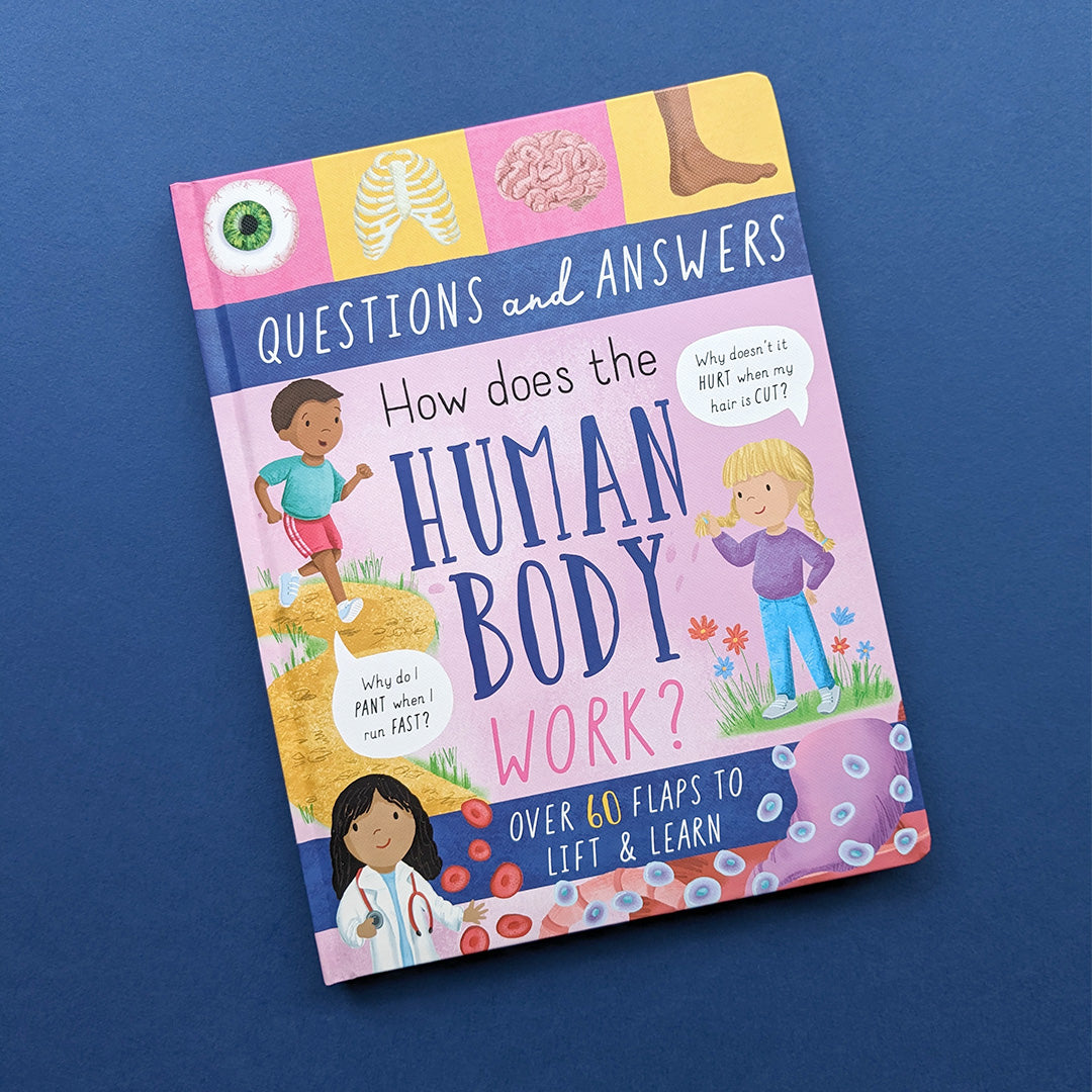 Humar Answer Image How Does The Human Body Work? - Children’s Question & Answer Book ...