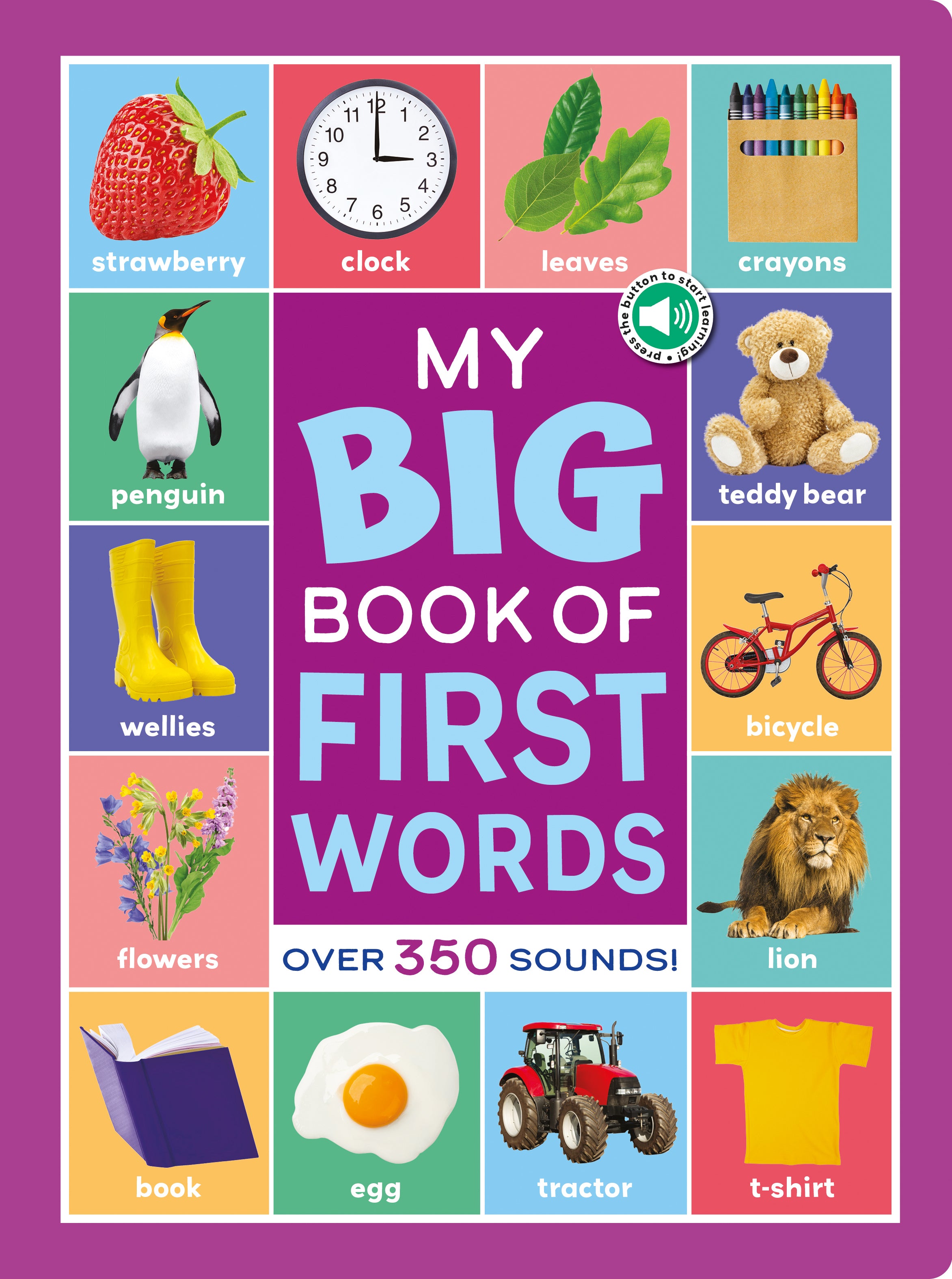 First Words Sound Book for Toddlers - 350+ Interactive Sounds