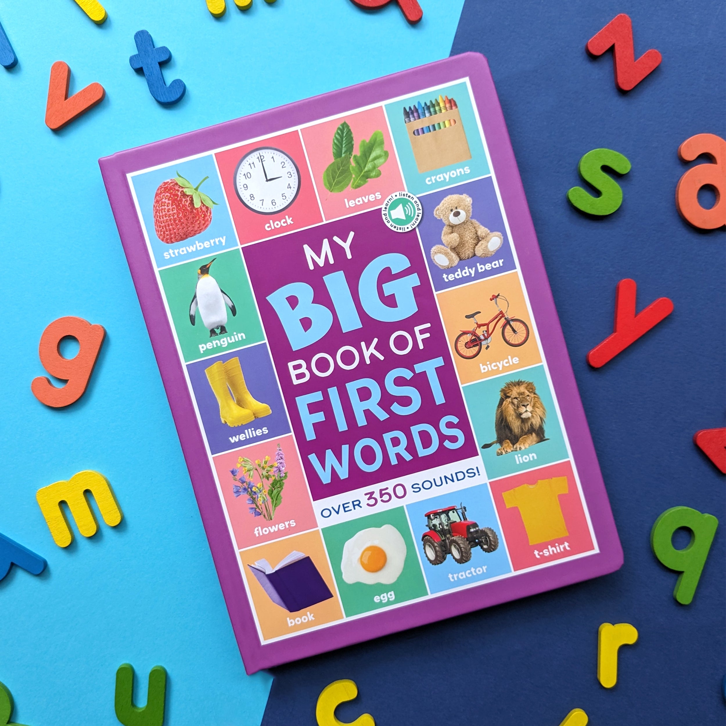 First Words Sound Book for Toddlers - 350+ Interactive Sounds